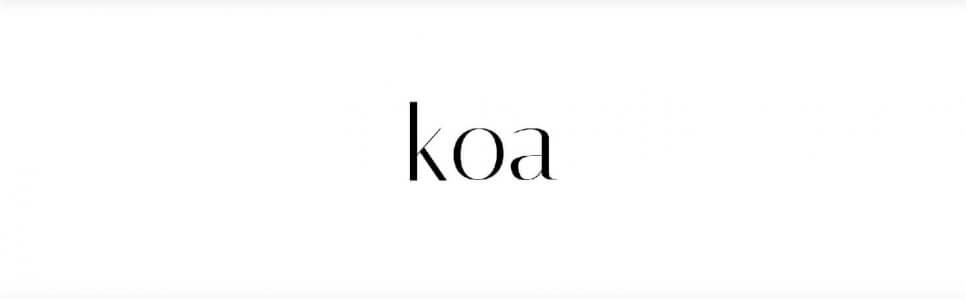 Koa.js