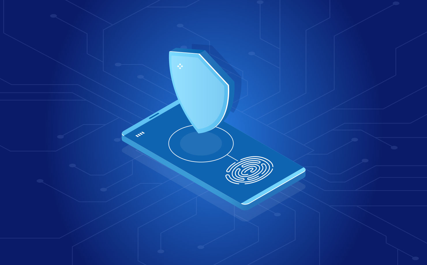 How To Ensure B2B Software Security Jelvix