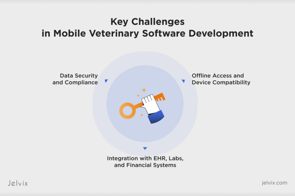 Key Challenges in Mobile Veterinary Software