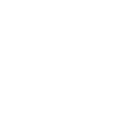 python logo